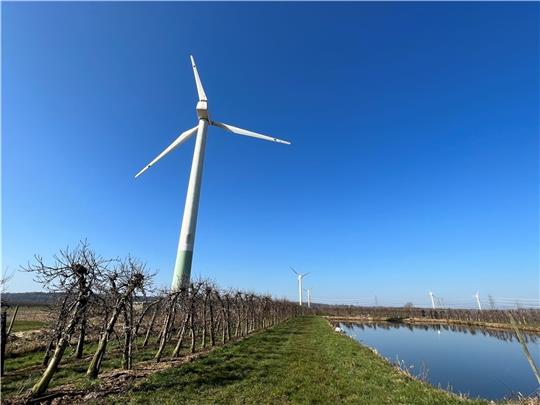 Investoren machen sich unter anderem für ein Repowering des Windparks Agathenburg im Alten Land mit fünf großen Windkraftanlagen an der A 26 stark. Foto: Vasel