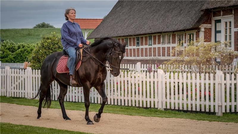 Iris Berben im Alten Land: Film heute Abend im ZDF zu sehen Iris Berben. Foto: ZDF und Boris Laewen