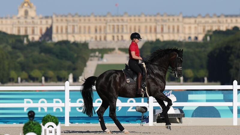 Gold-Jagd im Schatten des Skandals Isabell Werth kann in Paris einen Olympia-Rekord aufstellen.