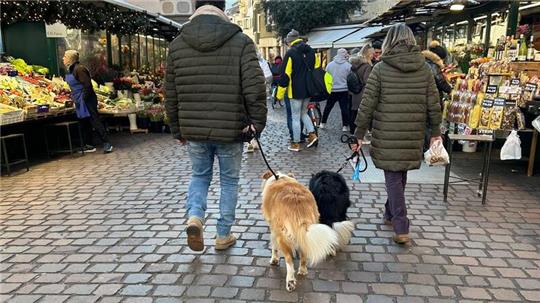 Ist das Häufchen per DNA-Abgleich erstmal identifiziert, könnte das in Bozen für Hundebesitzer bald sehr teuer werden.