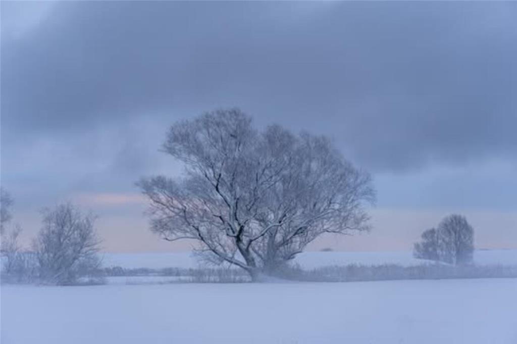 Ist das noch Krautsand oder schon Winterfell von Game of Thrones?