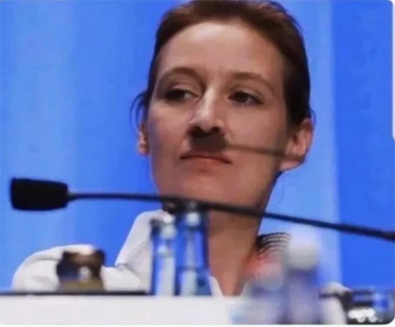 Ist der Schatten die Mikrofons auf dem - zugegeben - recht alten Foto der jüngeren Alice Weidel echt.