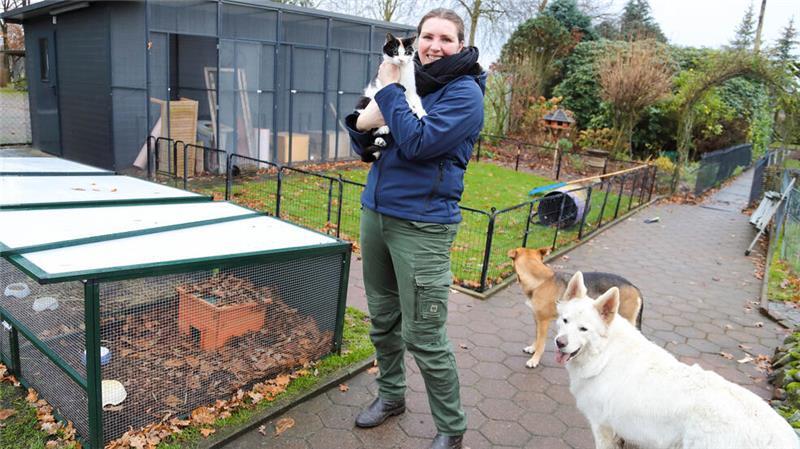 Tierschützer müssen in die eigene Tasche greifen Ivonne Sommer hält auf dem Gelände der Arche Oyten den Kater Theißen auf dem Arm.
