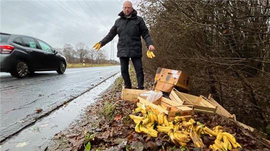 Jäger Ralf Kimmel schaut auf die Bio-Bananen neben dem Hagener Weg in Dollern.