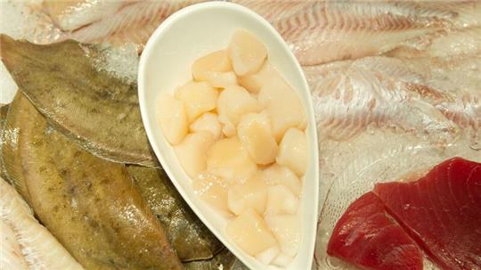 Jakobsmuschelfleisch (Mitte) liegt in Hannover in der Auslage.