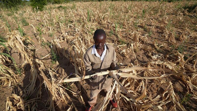 Dürre im Süden Afrikas bedroht 24 Millionen Menschen James Tshuma, ein Bauer im Südwesten Simbabwes, im März 2023 inmitten seines ausgetrockneten Feldes.