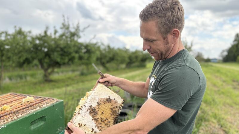 Jan Biggemann wollte eigentlich Landwirt werden. Als Imker sei er auch Landwirt, nur ohne Land, sagt er.