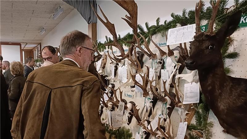 Immer mehr Jäger im Kreis Stade: Was ist das Besondere an der Jagd? Jan Mecklenburg begutachtet die Trophäenwand in der Harsefelder Festhalle.