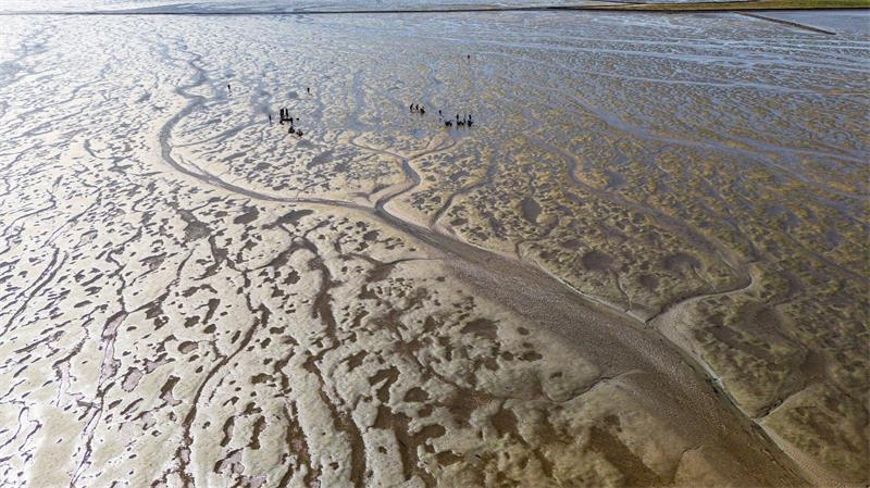 Flut, Seenebel und andere Gefahren – Tipps für Wattwanderer Je nach Ort ist der Wattenmeerboden verschieden - es gibt, Sand-, Schlick- und Mischwatt. (Archivbild)