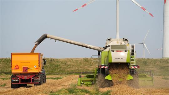 Je nach Standort schwankt die Erntemenge beim Getreide erheblich. (Archivbild)