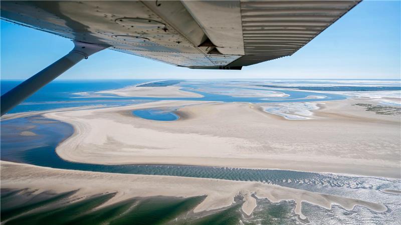 Flug zwischen Watt und Wolken – so werden Seehunde gezählt Jeden Sommer gibt es im Wattenmeer mehrere Seehund-Zählflüge. (Archivbild)