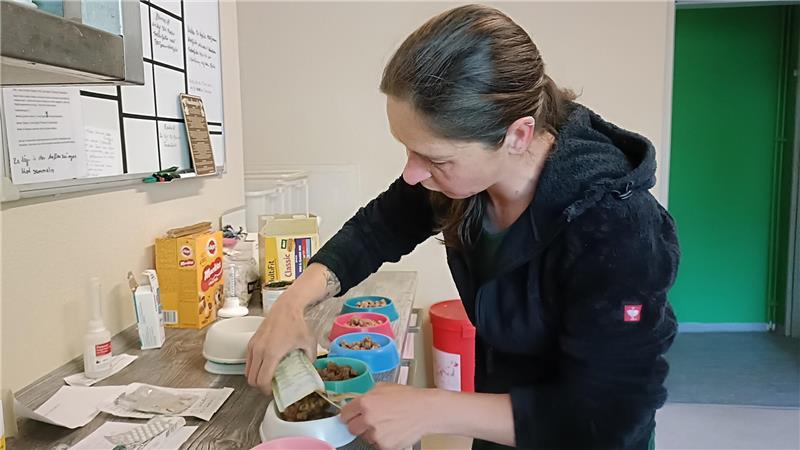 Wenn 46 Bewohner auf Futter warten: Mit Tempo durchs Stader Tierheim Jeder Griff sitzt: Julia Weber bereitet für alle Tiere das Frühstück vor.