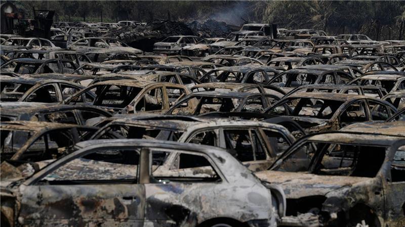 Griechenland: Mehr als 300 Brandstifter festgenommen Jeder Großbrand verursacht Millionenschäden. (Archivbild)