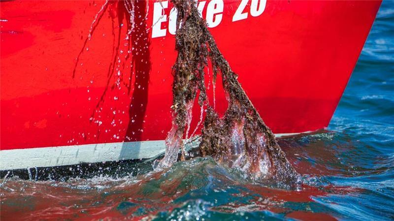 Jedes Jahr landet eine unbekannte Menge an Fischernetzen im Meer. Mit Künstlicher Intelligenz sollen sie besser aufgespürt werden. (Archivbild)
