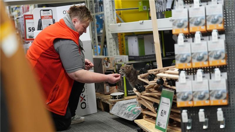 Jennifer Scheel, Mitarbeiterin im Baumarkt, wird von ihren Kollegen auch „Katzenmutti“ genannt.