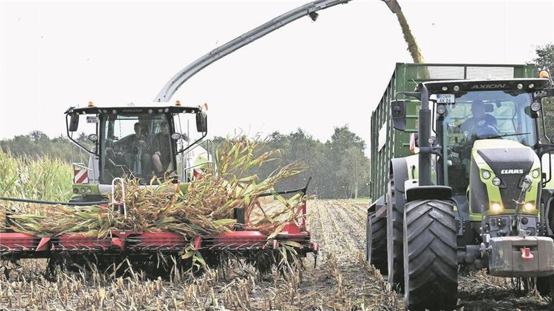 Maisernte: Jetzt muss es schnell gehen Jetzt bestimmen sie wieder das Bild der Landwirtschaft, die Maishäcksler und die Treckergespanne. In kurzer Zeit müssen knapp 50.000 Hektar Mais im Landkreis geerntet werden, da ist jede Minute kostbar.