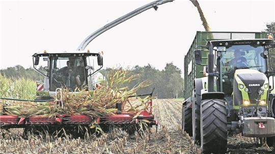 Jetzt bestimmen sie wieder das Bild der Landwirtschaft, die Maishäcksler und die Treckergespanne. In kurzer Zeit müssen knapp 50.000 Hektar Mais im Landkreis geerntet werden, da ist jede Minute kostbar.