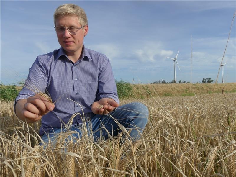 Joachim Breuer hat sich den Traum von der eigenen Scholle erfüllt. Er hat jetzt seine erste eigene Ernte eingefahren. Fotos: Knappe