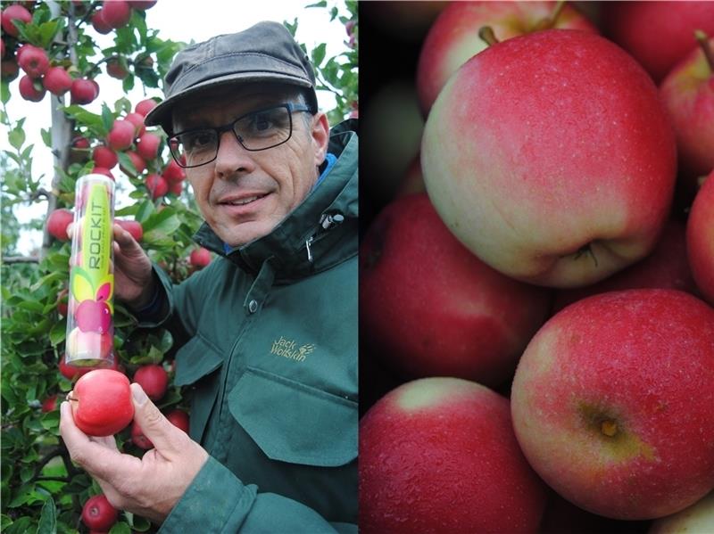 Joerg Hilbers, stellvertretender Leiter des Obstbauversuchsringes, hält einen „Rockit“ und die Verpackung in Händen. Fotos Vasel