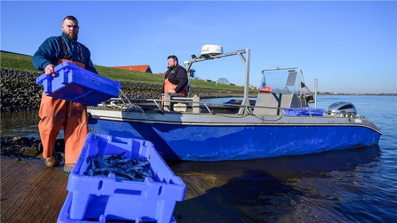 Jonas (l) und Per-Willem Grube beim Stintfang an der Elbe.