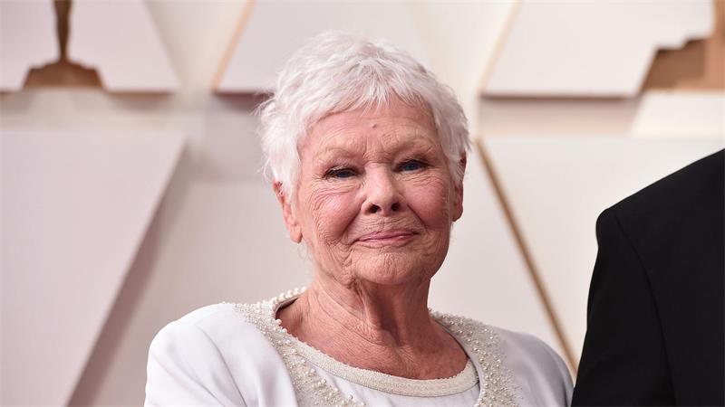 Judi Dench spielte im „Cats“-Film die Katze Alt-Deuteronimus. (Archivbild)