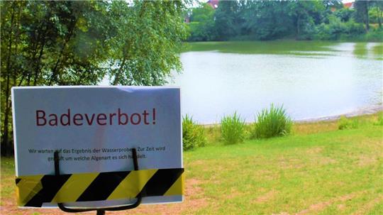 Juli vergangenen Jahres: Der See mitten in Hemmoor musste wegen eines "explosionsartigen" Blaualgenwachstums gesperrt werden. Archivfoto: Schröder