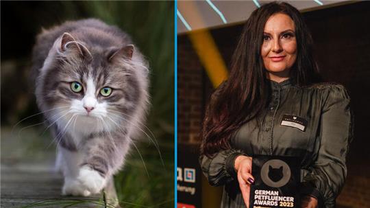 Julia Rüdiger und ihre zwei sibirischen Katzen Malou (Foto) und Nala sind mit @nalas_catventures „Petfluencer des Jahres 2023“.