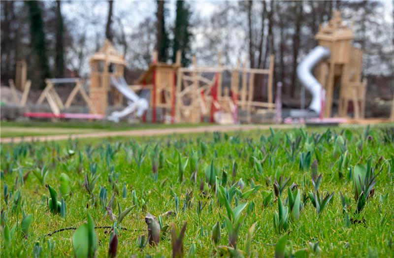 Junge Tulpen wachsen auf einer Wiese vor einem Spielplatz. Symbolfoto: Monika Skolimowska/ZB/dpa