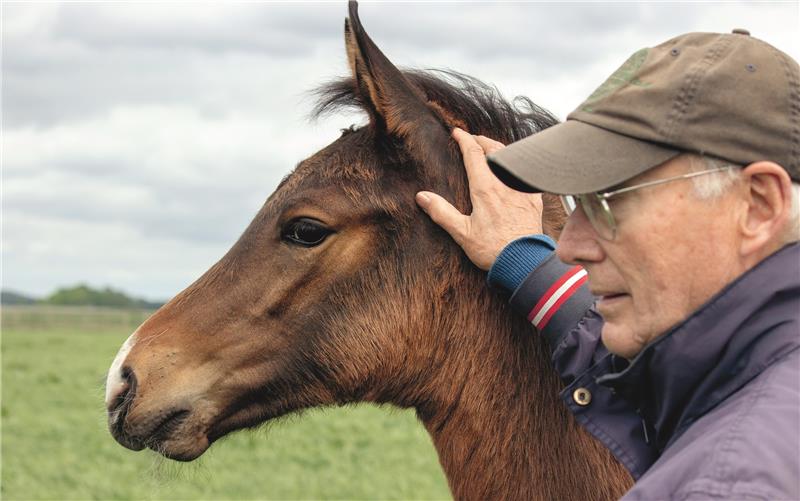 Junger Hengst und älterer Mann: Stefan Aust mit dem Jährling Vasco auf der Weide. Foto: privat