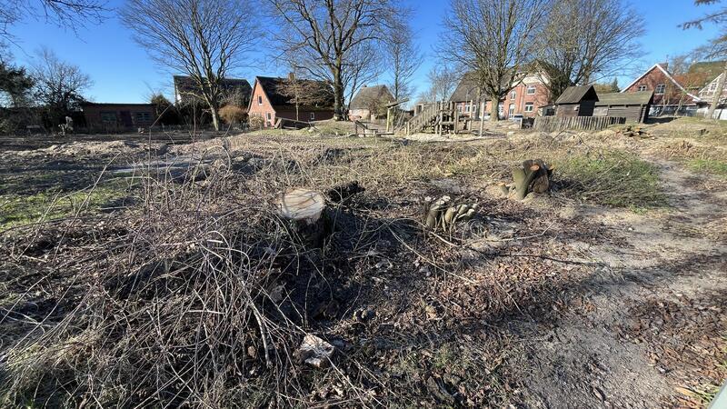 Nachbarn entsetzt: Kahlschlag auf Kirchengrundstück in Hörne Kahlschlag auf dem Spielplatz in Twielenfleth-Hörne. Im Hintergrund ist die leerstehende Kita zu sehen.