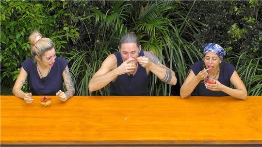 Kamelhirn und Kuhurin standen auf der Speisekarte. 