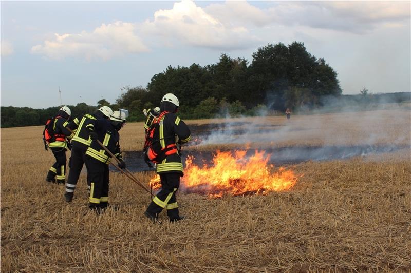 Waldbrand: Feuerwehren proben in Apensen den Ernstfall Kampf gegen das Feuer. Fotos: Höper