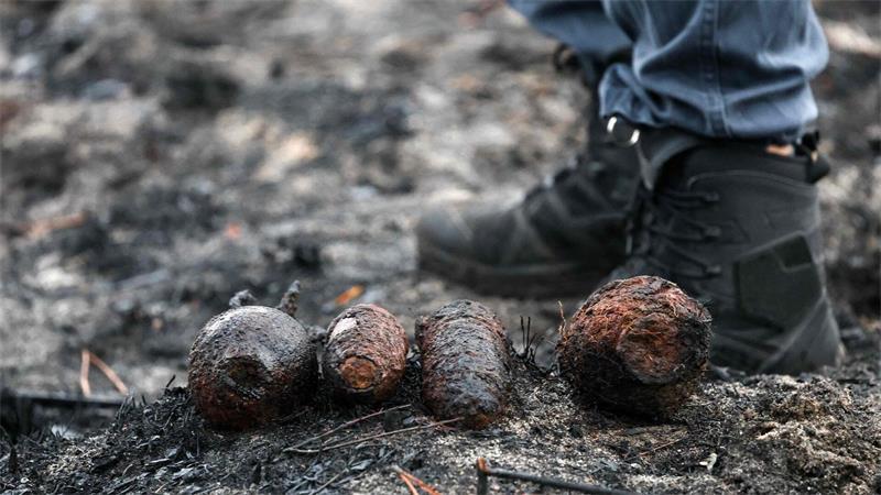 Kampfmittelräumer haben alte Granaten in dem großen Waldbrandgebiet an der französischen Atlantikküste gefunden.