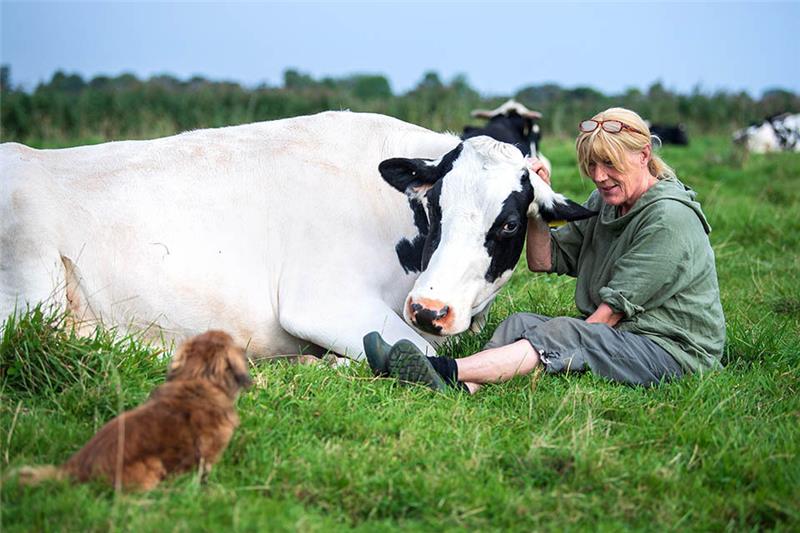 Karin Mück sitzt mit Kuh und Hund auf der Wiese vom Hof Butenland. Auf dem Hof führen ehemalige Nutztiere ein möglichst freies Leben. Sie werden weder gemolken noch geschlachtet. Im Kuhaltersheim sollen die Tiere das zurückbekommen, was die Menschen ihnen genommen haben. Mit dem Altersheim für Kühe wollen die Betreiber für den Umgang mit und den Konsum von Molkereiprodukten Bewusstsein schaffen. Foto: Sina Schuldt/dpa