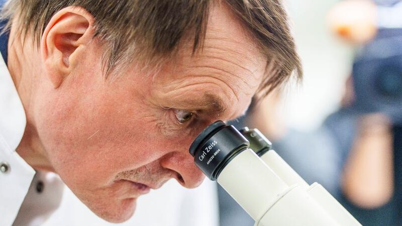 Deutschland kann mit KI bei Krebsforschung an Weltspitze Karl Lauterbach (SPD), Bundesgesundheitsminister, betrachtet unter einem Mikroskop Krebszellen.