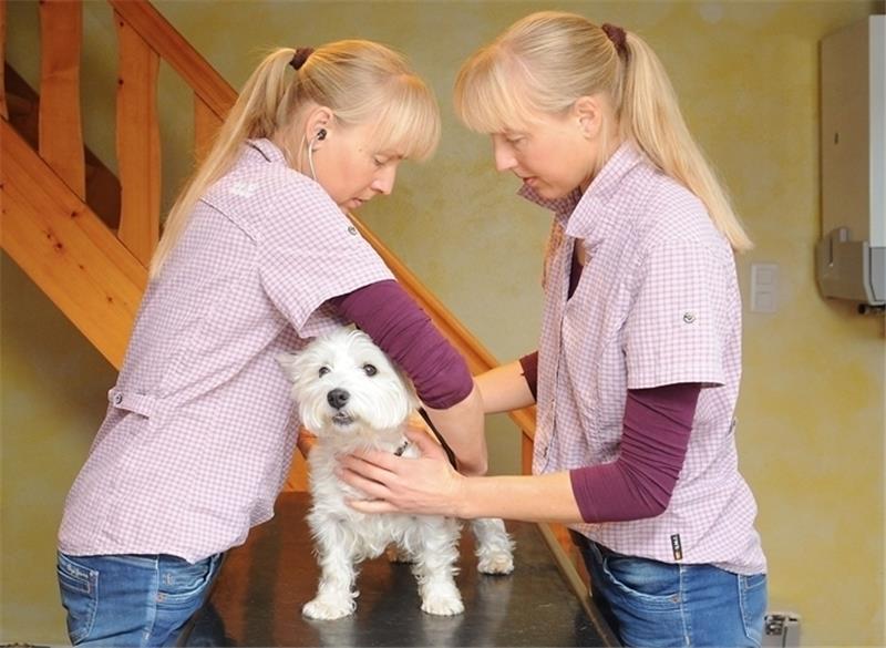 Kati und Rike van der Weerd in ihrer Tierheilpraxis in Oberndorf . Dort kümmern sie sich zum Beispiel um Hunde und Katzen.