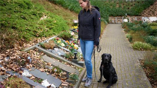 Katzen, Hunde und Pferde können in Stade begraben werden. In Nottensdorf gibt es eine alternative Bestattungsform.