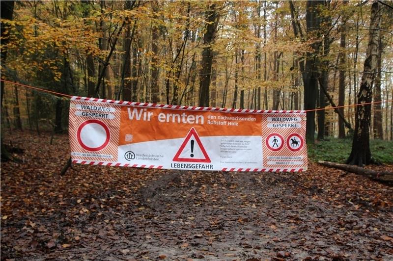 Kein Durchgang für Waldfreunde: Im Neukloster Forst laufen in der kommenden Woche Durchforstungsarbeiten an.