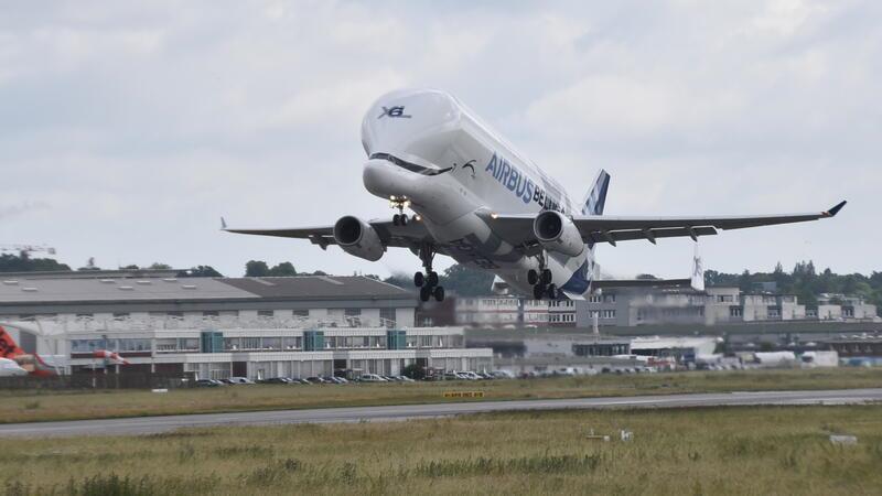 Kein lebender Vogel weit und breit: Die Beluga startet auf dem Airbus-Sonderflugplatz in Finkenwerder. Vorher sind die Vögel mit Pyrotechnik vergrämt worden.