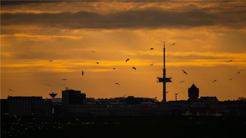 Möwen fliegen im Sonnenaufgang über Bremerhaven.