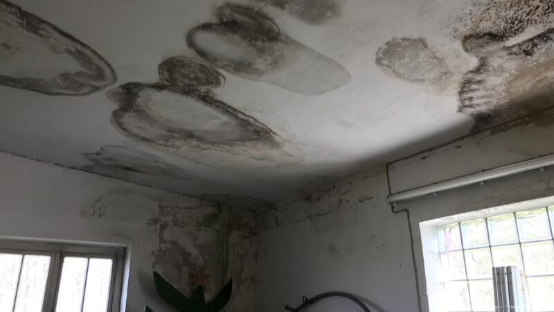 Altes Feuerwehrgerätehaus soll Dorfgemeinschaftshaus werden Keine Kunst, sondern eklig: Großflächig hat sich der Schimmel im rechten Seitengebäude festgesetzt. Ein neues Dach soll es richten.