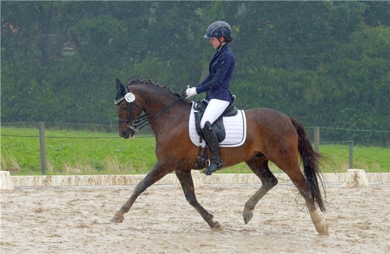 Wenn der Regen für Pferd und Reiter zur Herausforderung wird Kim Kristin Ketels und Carlsson ließen sich von den Regengüssen nicht beeindrucken und wurden Zweite in der L-Dressur. Fotos: Fehlbus