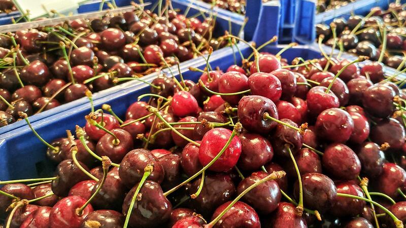 Mehr als nur Äpfel: Das bieten Hofläden im Alten Land Kirschen sind momentan besonders gefragt.