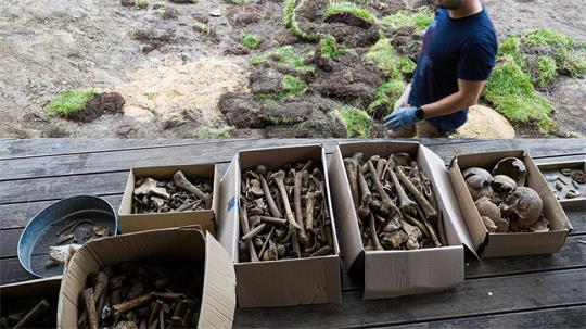 Kistenweise Knochen wurden in dem Garten entdeckt.