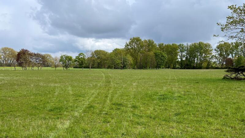 Trotz Richterspruchs: Hamburg will Hahnöfersand mit Trick zu Feldlerchen-Paradies machen Kleilager oder Feldlerchen-Asyl? Die Hamburger wollen Hahnöfersand als Ausgleichsfläche für Bauprojekte in Billwerder nutzen.