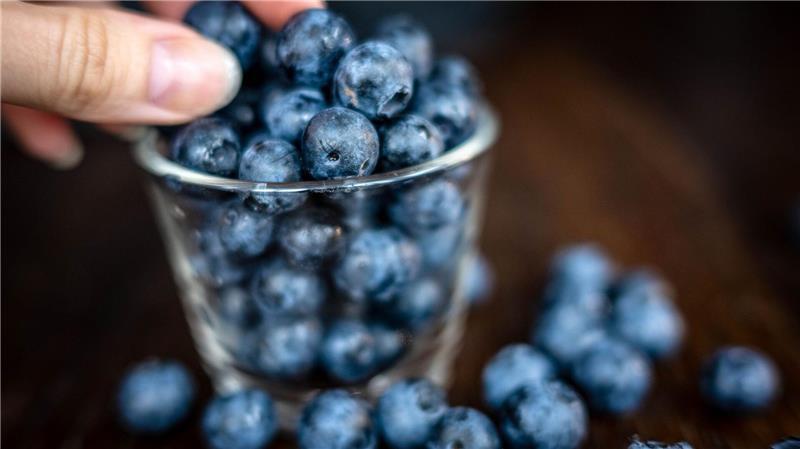 Die Heidelbeere, die Kim Kardashian des Obstkorbs Klein, blau, erfolgreich als Snack: die Heidelbeere. Sie boomt immer noch. (Archivfoto)