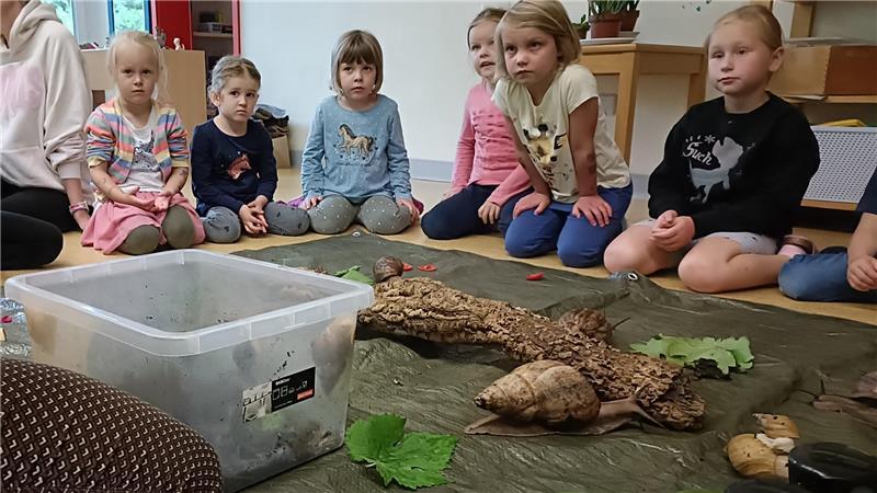 Kleine Kinder, große Schnecken: Die Gruppe lauscht gebannt, was über die Weichtiere erzählt wird.