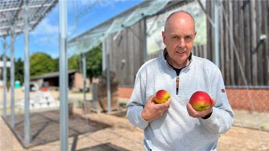 Klimaschützer müssen Altländer Äpfel kaufen: Dr. Dirk Köpcke (Foto) und sein Kollege Dr. Tim-Pascal Schlie vom Obstbauzentrum Esteburg in Jork-Moorende haben die Klimabilanzen von regionalen Äpfeln und Überseeware verglichen.