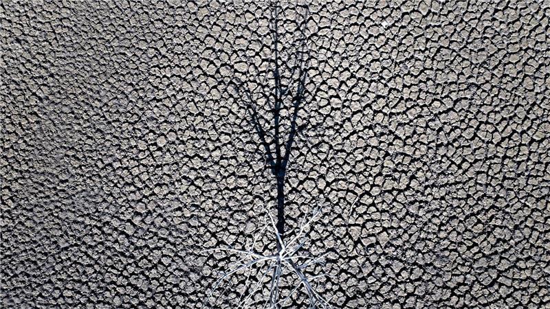 Klimazertifikate aus Drittländern könnten künftig mit EU-Emissionen verrechnet werden. (Symbolbild)