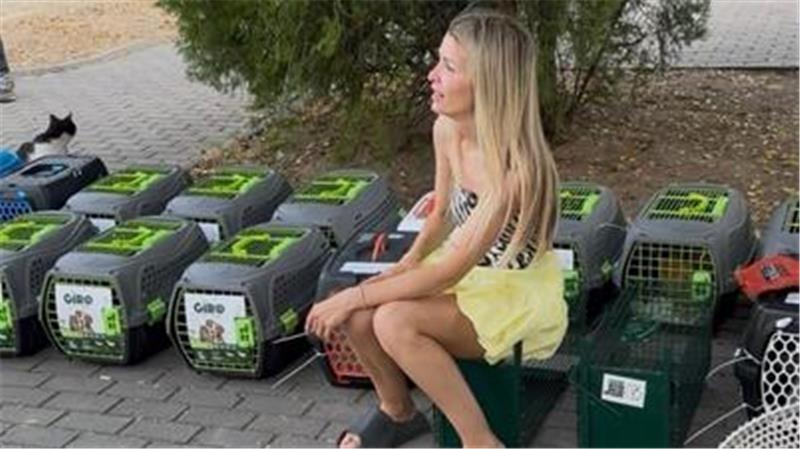 Knapp 100 Straßenkatzen versorgt Hande de Palma in Izmir gleichzeitig.